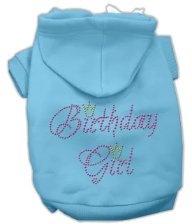 Birthday Girl Hoodies Baby Blue S (10)